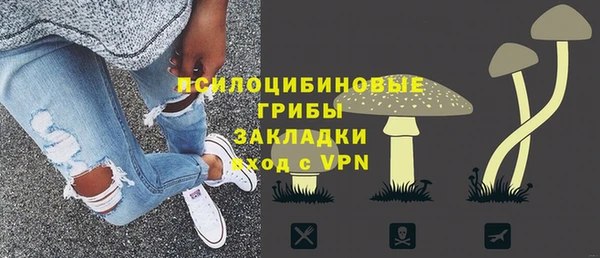 PSILOCYBIN Костерёво