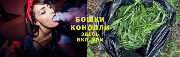 PSILOCYBIN Костерёво