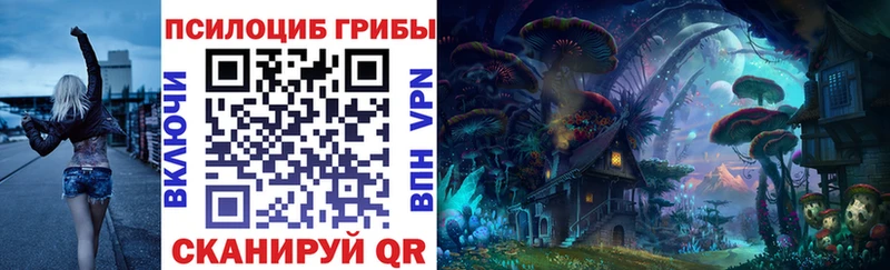 Псилоцибиновые грибы Magic Shrooms  купить закладку  Орехово-Зуево 